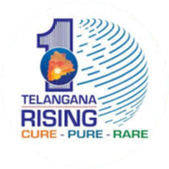 TS RISING LOGO