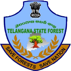 TS RISING LOGO